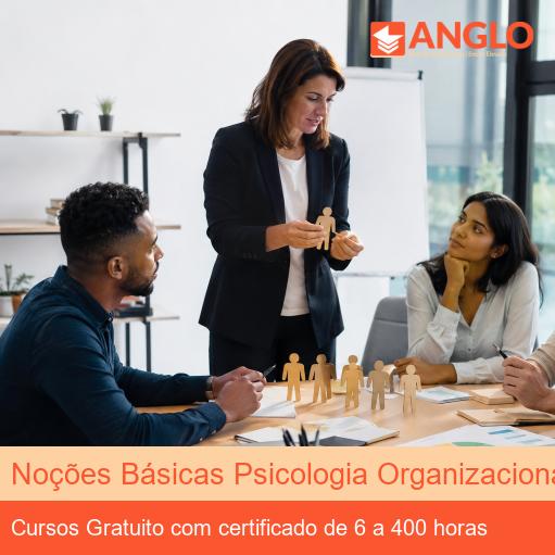 Noções Básicas Psicologia Organizacional